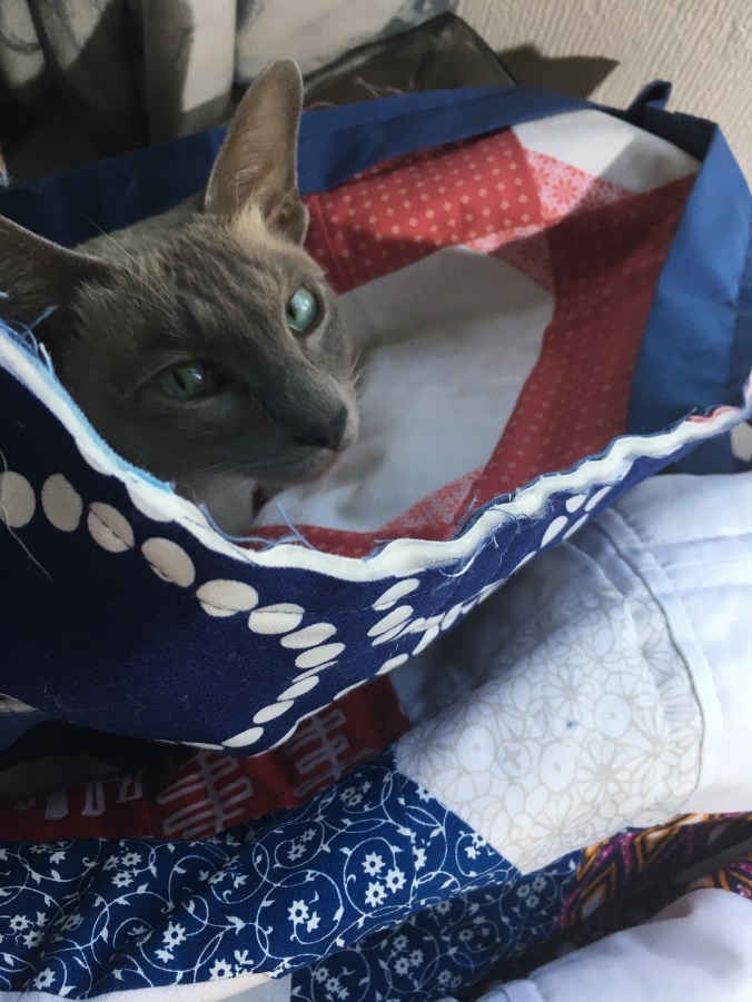 62E33A0F-2422-4E97-8CAE-DC35187C81F7