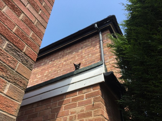 E1D429DC-9173-4232-943E-F601E0965637