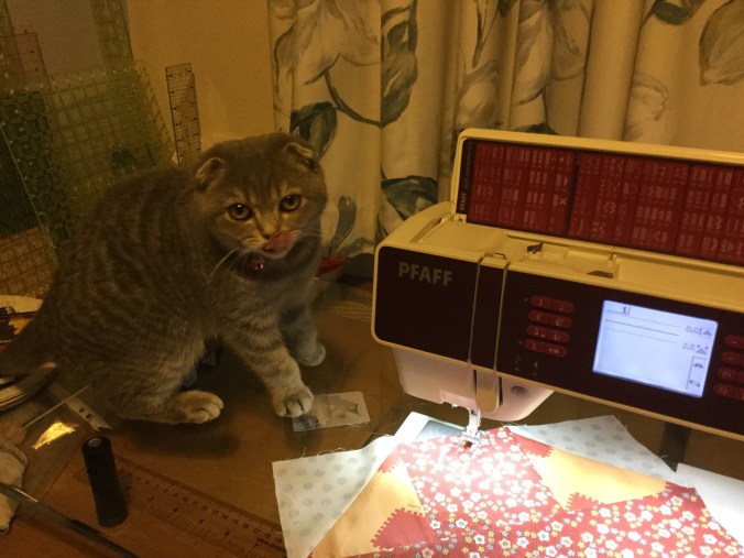 CF6A8C19-21EA-460F-8404-F3029CE71438