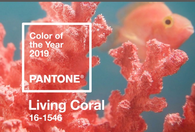 710E27B2-ACEF-4338-8F69-60CF847A4BBE